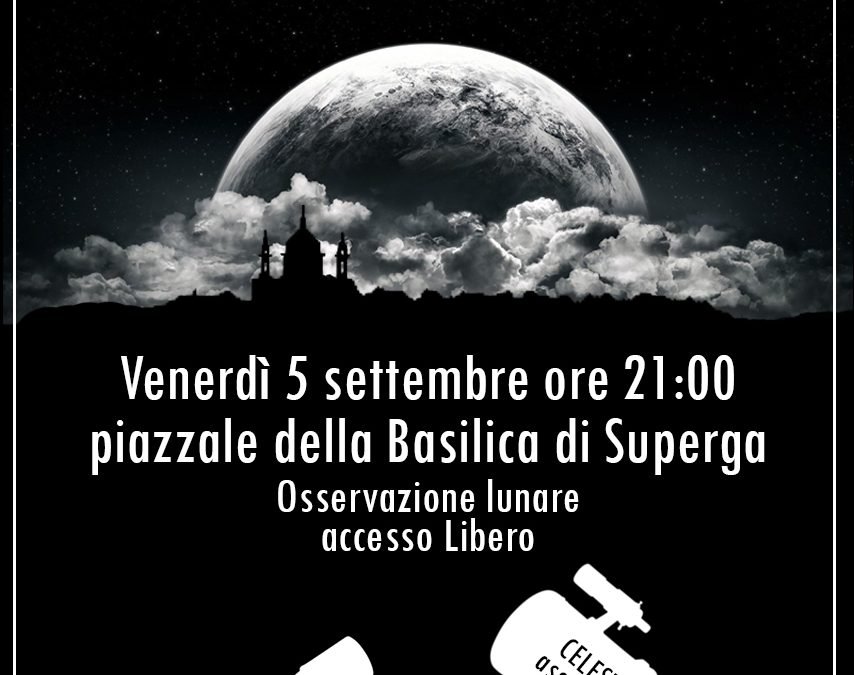 The Moon experience