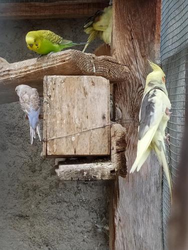 IMG 20210904 154613