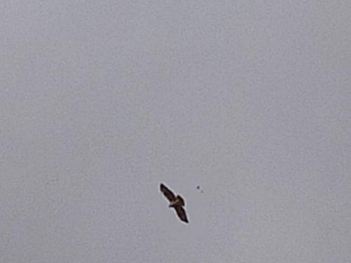 IMG 20210905 094834