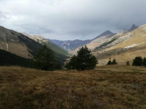IMG-20170828-WA0071
