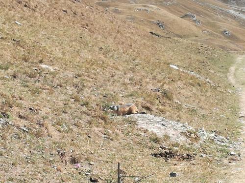 IMG-20170828-WA0074
