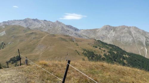 IMG-20170828-WA0076
